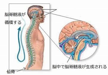 ダウンロード (1)